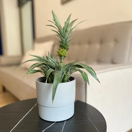 Modern I Cosy & Апарт-отель Кобленц