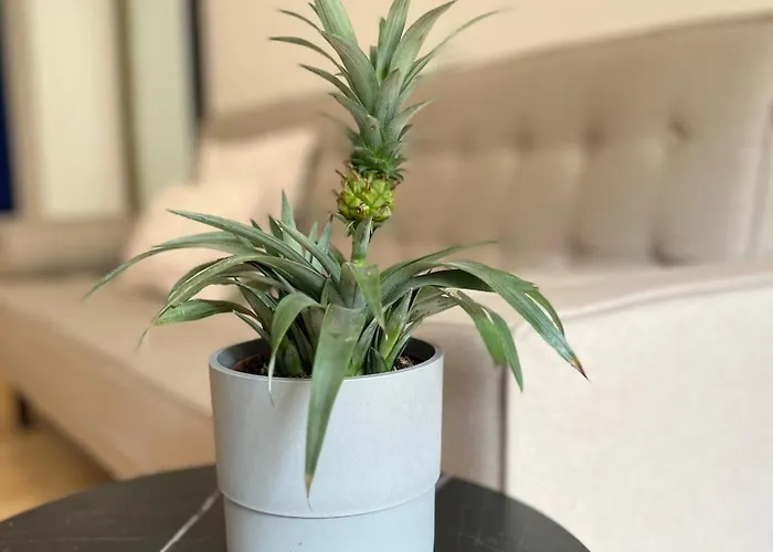 Modern I Cosy & Aparthotel Koblenc