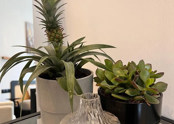 Modern I Cosy & 3* Koblenc